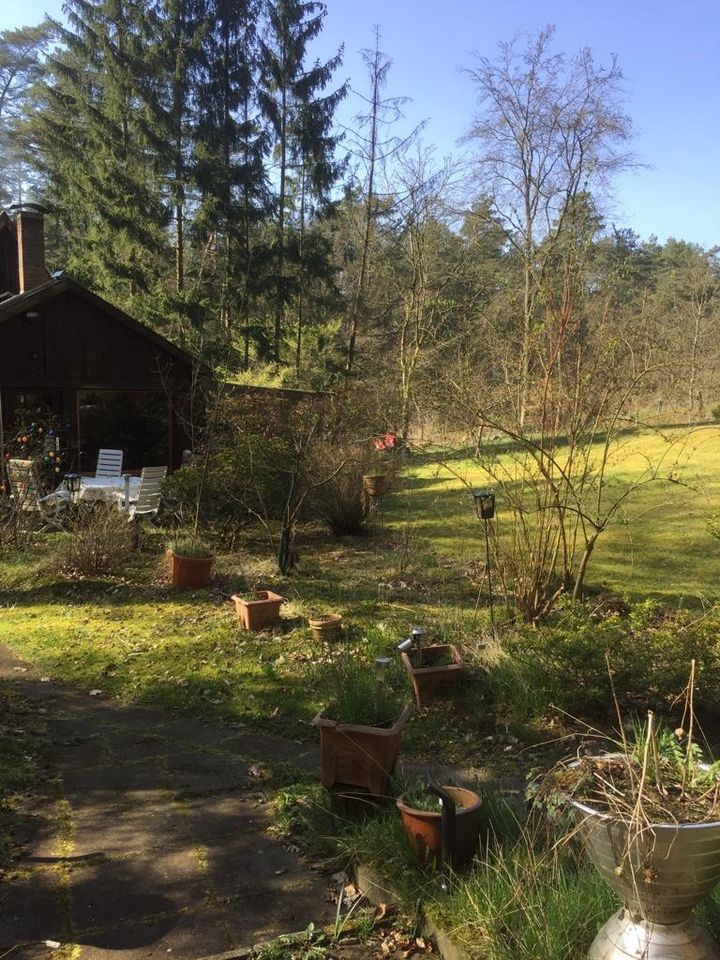 Idyllisches Ferienhaus im Wald zu verkaufen in Lütjensee