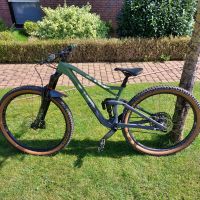 Cube Mountainbike Stereo 150 C:62 Race 29 Carbon Nordrhein-Westfalen - Salzkotten Vorschau