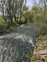 Waldstück, Garten ( verwildert) Hessen - Cölbe Vorschau