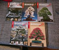 Bonsai Art Nürnberg (Mittelfr) - Nordstadt Vorschau