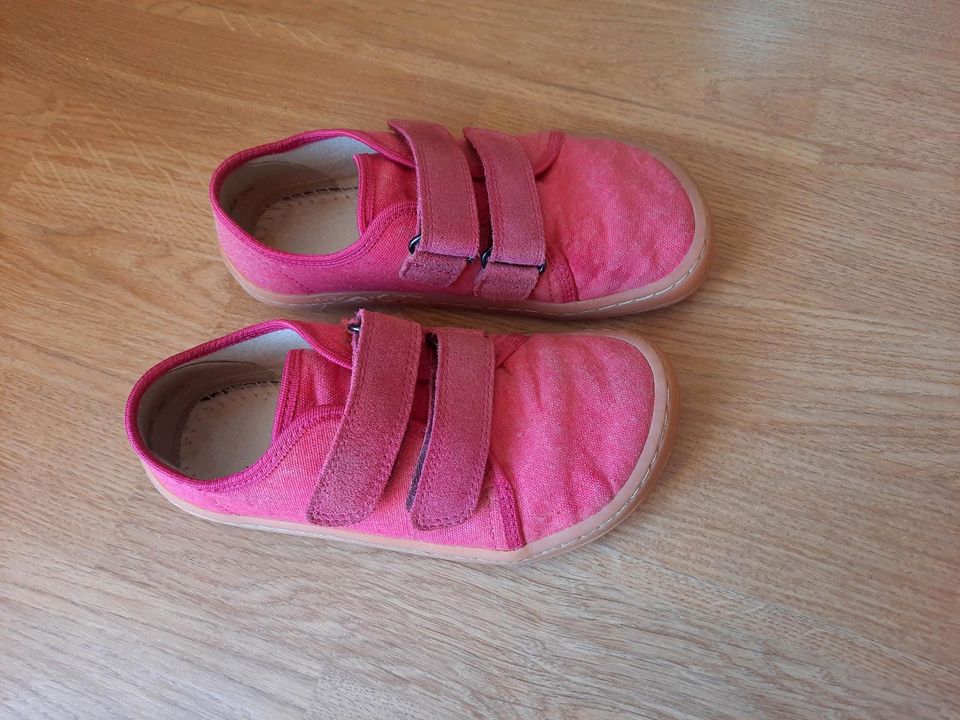 Froddo Barfußschuhe Pink Mädchen in Freudenberg