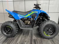 CF MOTO Kinderquad C Force 110   2024 Rheinland-Pfalz - Simmern Vorschau