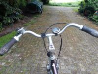 E-Bikes zu verkaufen Niedersachsen - Westoverledingen Vorschau