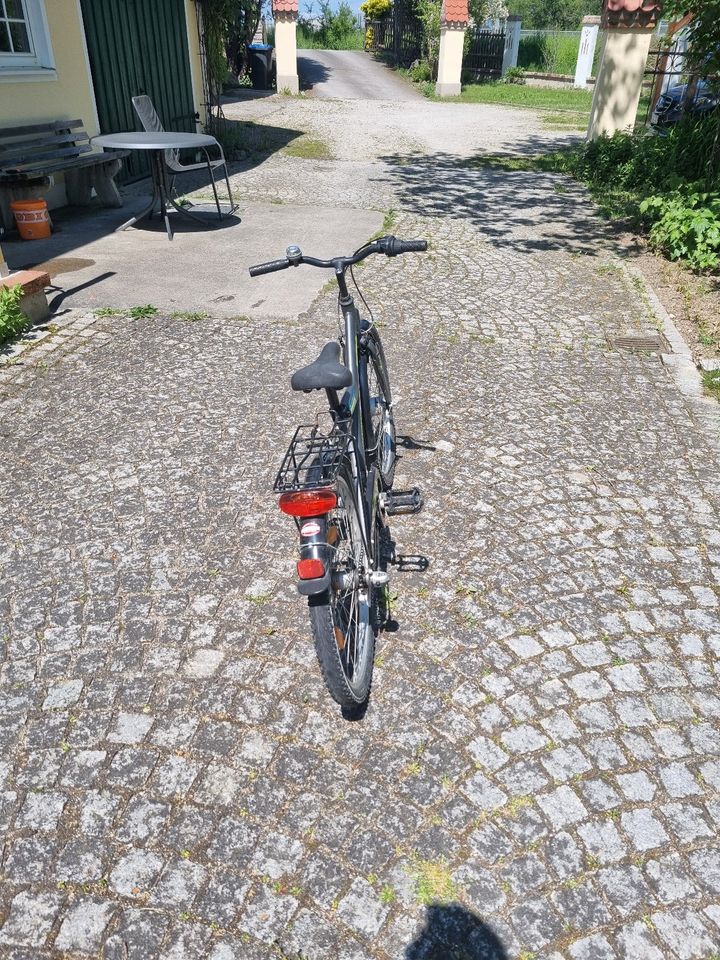 Jungen Fahrrad 24 Zoll Pegasus in Odelzhausen