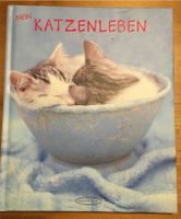 Katzen, Natur, Poesiealbum, Freundebuch Bayern - Pfaffenhofen a.d. Ilm Vorschau