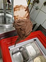 Eismaschine Carpigiann L 40 Nordrhein-Westfalen - Bottrop Vorschau