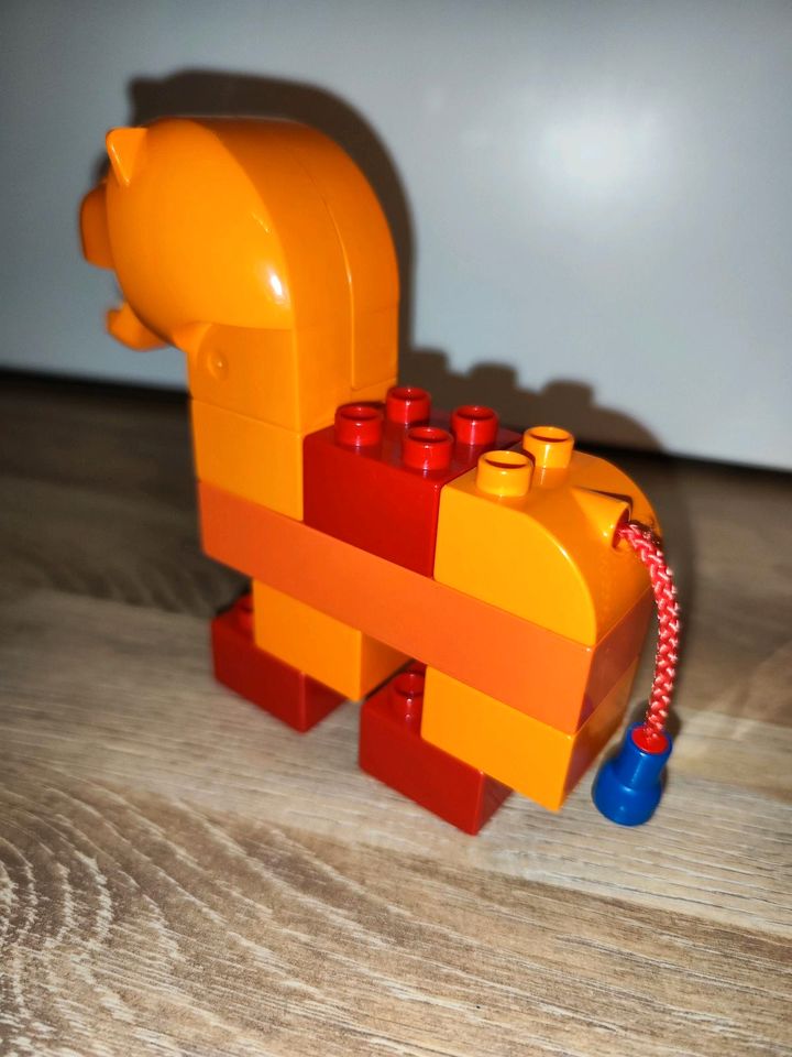 ⭐ Kostenloser Versand! Lego Duplo 3513 Löwe Bausteine in Bispingen