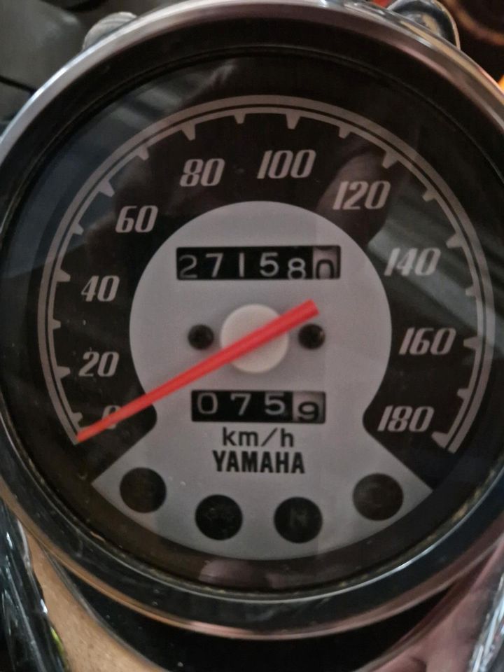 Yamaha XVS 650 Dragstar in Stendal