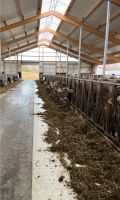 Landwirtschaftlicher Mitarbeiter gesucht Bayern - Markt Wald Vorschau