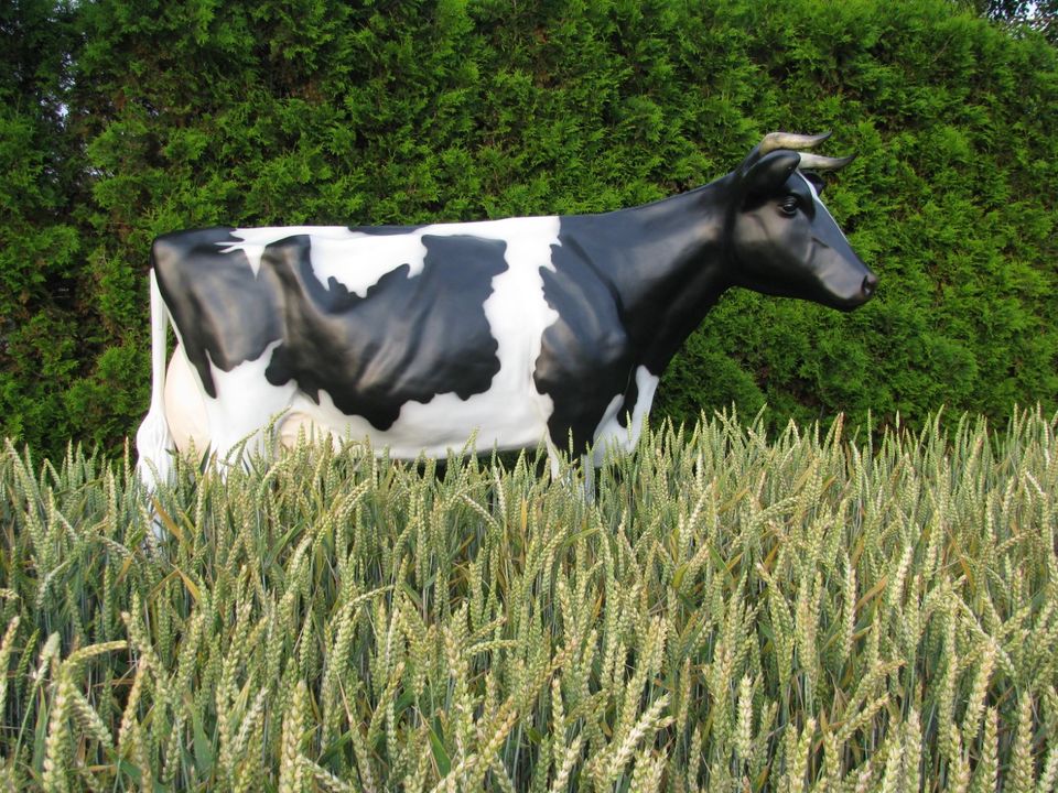 Holstein Friesian Kuh lebensgroß und Du bestimmst die Kopfblickrichtung vor dem Kauf. Sie ist mit und ohne Horn erhältlich. Neue Generation von 3D Kühen . Tel. 033767 30 750 od. 0049 33767 30750 in Heidesee