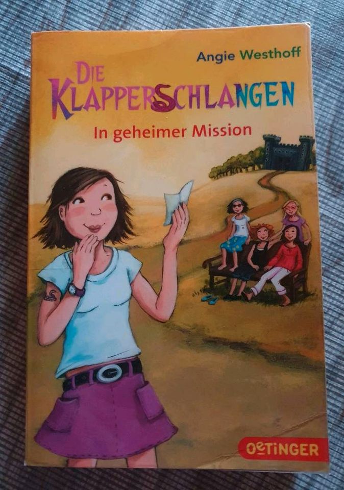 Buch Kind/Jugend - u.a. Gregs Tagebuch,  Vampirschwestern,... in Riedlingen