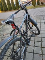 Fahrrad 29 Zoll Hessen - Friedewald Vorschau