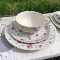 Arzberg rosa Blüten Kuchenteller Untertasse Tasse Eierbecher 1382 Nordrhein-Westfalen - Schwerte Vorschau