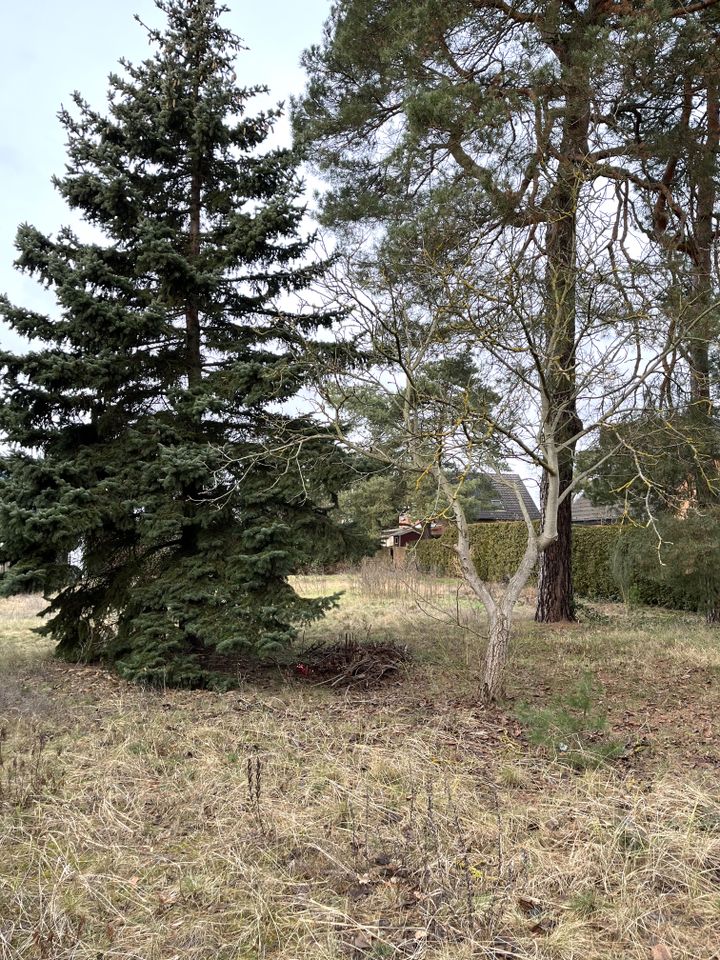 Naturnahe Oase: Ihr Zuhause für Gemütlichkeit in Berlin