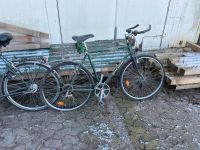 Fahrräder zu verkaufen Niedersachsen - Melle Vorschau