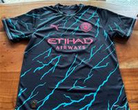 Neuwertiges Manchester City Trikot - Puma in L - Flock 12 Sandra Hessen - Wetzlar Vorschau