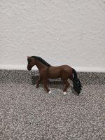 Schleich Pferd Trakehner Wallach Niedersachsen - Bispingen Vorschau