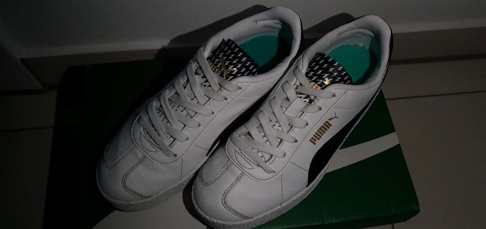 Puma  Basket in Bad Lippspringe