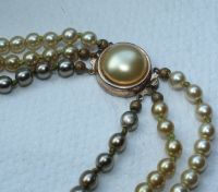 Ältere Halskette/Perlenkette Sachsen-Anhalt - Quedlinburg Vorschau