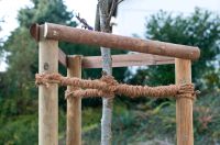 Baum Pflanzung Baden-Württemberg - Steinmauern Vorschau