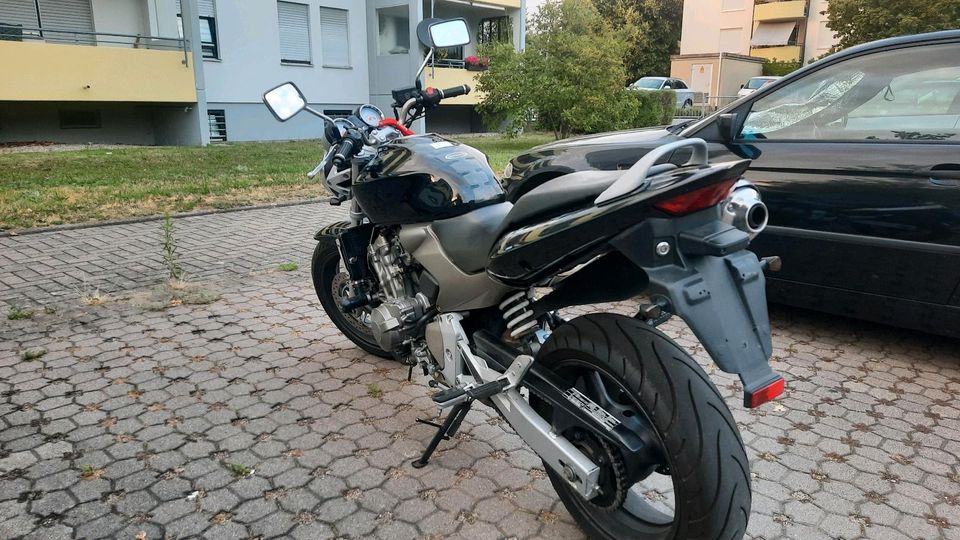 Honda Hornet CB600F in Rastatt
