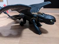 Dragons Ohnezahn Bayern - Poing Vorschau