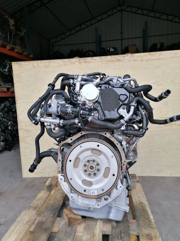 Motor Komplett Renault Alaskan  2.3 DCI YS23C276 190PS E6 76TKM in Küstriner Vorland