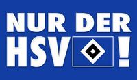 SUCHE HSV - Paderborn Tickets Gästeblock Schleswig-Holstein - Reinbek Vorschau