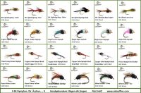 48 Nymphen Box, Forelle, Äsche/Trout, Grayling, Fliegenfischen Bayern - Blaibach Vorschau