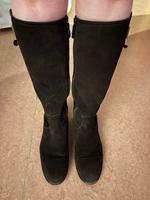 Tommy Hilfiger Stiefel Damen Wildleder Gr. 39 Nordrhein-Westfalen - Hilden Vorschau