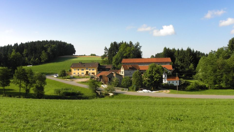 Urlaub am Bauernhof in Bayern Ferienwohnung Bayerischer Wald in Michelsneukirchen