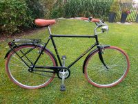 Alpina Bike 28 Zoll Herrenrad Sporting Single Speed, NP 350., 1a Bayern - Freilassing Vorschau