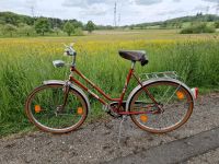 Retro Vintage Fahrrad Baden-Württemberg - Murg Vorschau