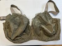 wunderschöner BH, Bonprix, neu 100 C, oliv, neu Niedersachsen - Garbsen Vorschau