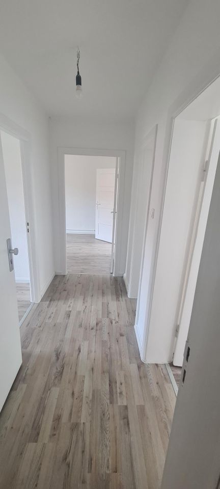 Sanierte 3 Zimmer Wohnung im Mehfamilienhaus in Neumünster in Neumünster