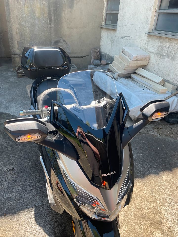 ‼️Honda Forza 300|Service/HU neu‼️ in Biberach an der Riß