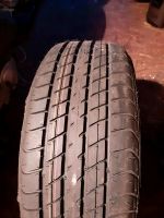 Dunlop Sommerreifen ist neu 205/55R16V91V Stuttgart - Stuttgart-Süd Vorschau