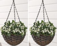 2x Polyrattan Hängeampel Pflanzenampel Blumen Hängetopf Garten Schleswig-Holstein - Neumünster Vorschau