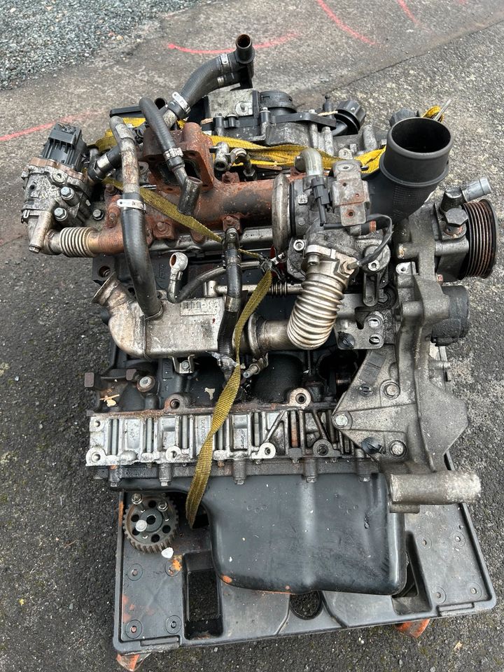 Motor Iveco Daily 2.3 EURO6 F1AGL411J, bj17 in Taunusstein