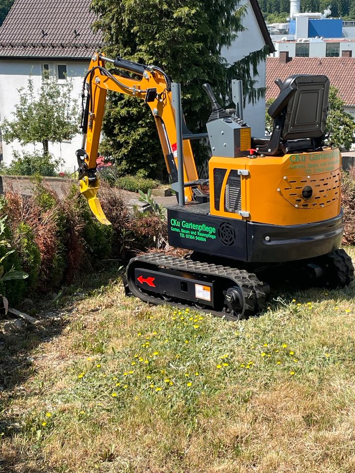 CKu Gartenpflege SCHNEIDEN PFLEGEN FÄLLEN FRÄSEN BAGGER und mehr in Oberkochen