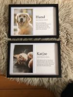 Bild Hund & Katze 30 cm x 31 cm Bayern - Augsburg Vorschau