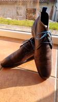 Floris van Bommel Gr. 47 Business Schuhe Herrenschuhe Hessen - Gudensberg Vorschau