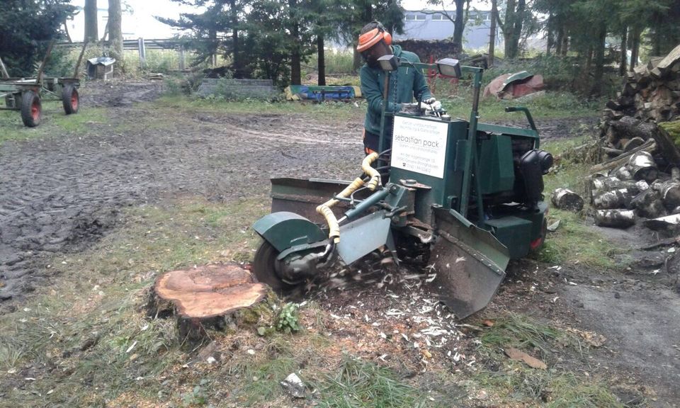 Wurzelfräse/ Baumfällung / Stubbenfräse / Gartenpflege in Geseke