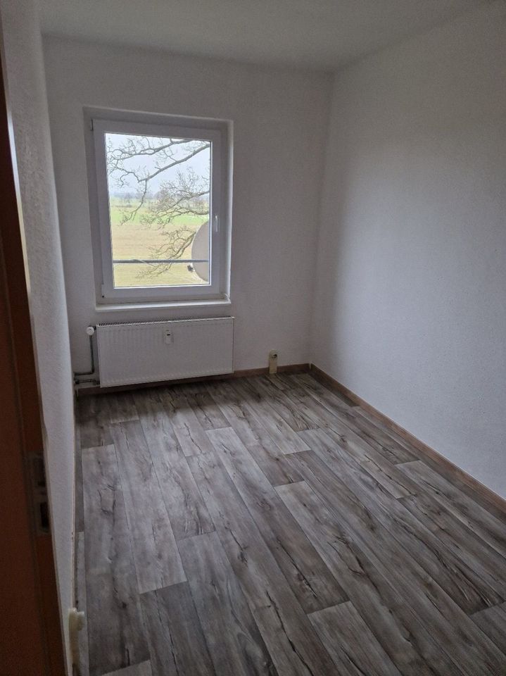 Renovierte 3 Raum Wohnung in 19309 Lanz in Wittenberge