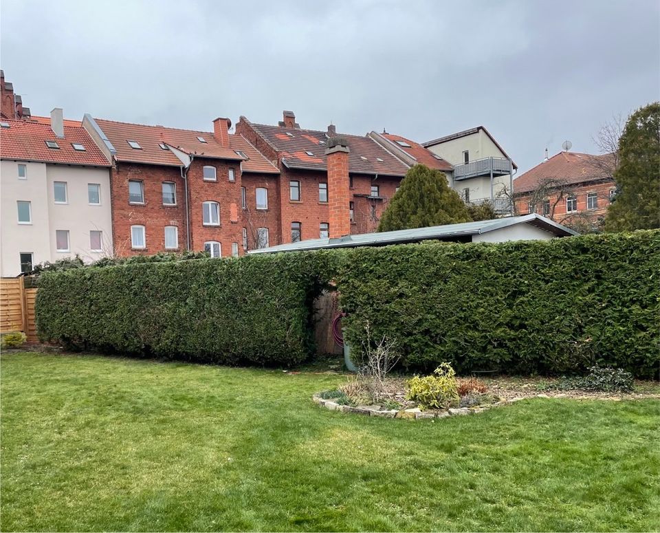 Baumfällung Wurzelfräsen  Hecke Obstbaumschnitt Holz spalten in Bad Sulza