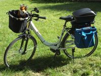 e-Bike  -  Tiefeinsteiger - TELEFUNKEN  Multitalent Hessen - Kassel Vorschau