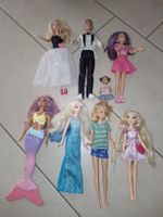 Barbie Puppen Ken, Meerjungfrau, Elsa, Einzelverkauf möglich Nordrhein-Westfalen - Bottrop Vorschau
