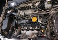 Suche Opel 1,6l 8V Rumpfmotor/Motorblock o. Motor Z16SE Berlin - Treptow Vorschau