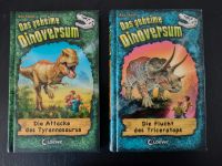 Das geheime Dinoversum, 2 Bücher von Rex Stone Schleswig-Holstein - Henstedt-Ulzburg Vorschau