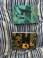 Vagabond Vizbig Vol. 3 und 5 Manga Berlin - Charlottenburg Vorschau